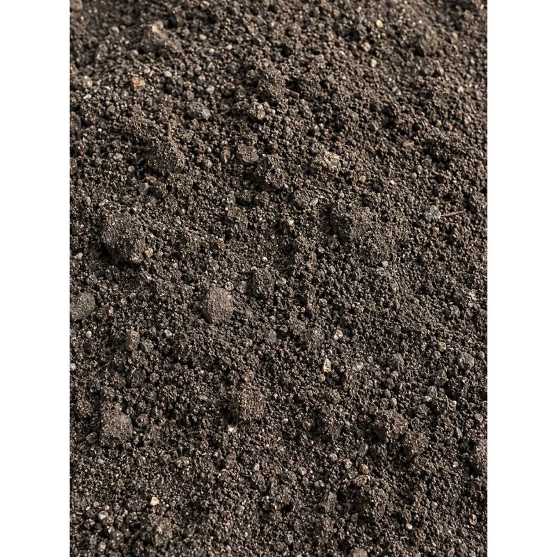 Terre noire criblée Terre noire criblée