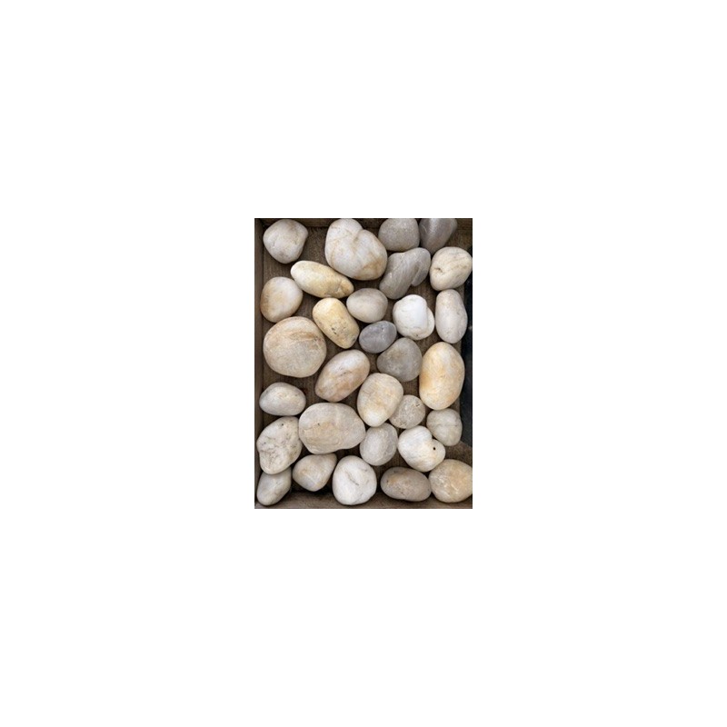 Galet Plaen Glan en 30/50 - Filet de 20 kg Galet Plaen Glan en 30/50 - Filet de 20 kg