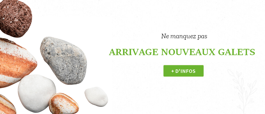 Offer Banner